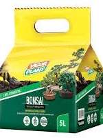 Bonsai