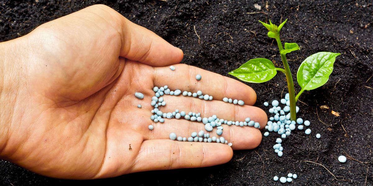 Concimi e Fertilizzanti